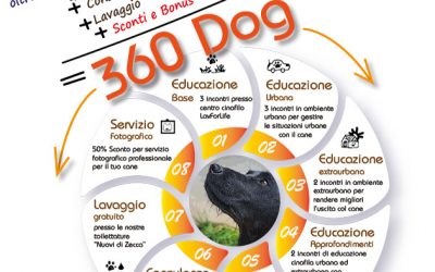 360-Dog Educazione Cinofila