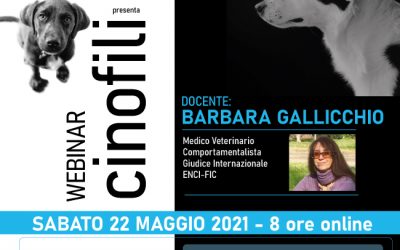 Webinar “Motivazioni di Razza” con Barbara Gallicchio