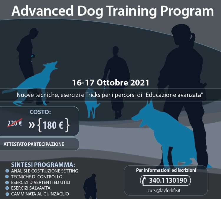 Advanced Dog Training